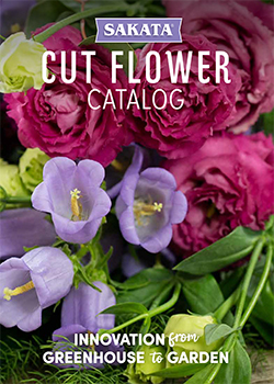 2023 Sakata Cut Flowers Catalog