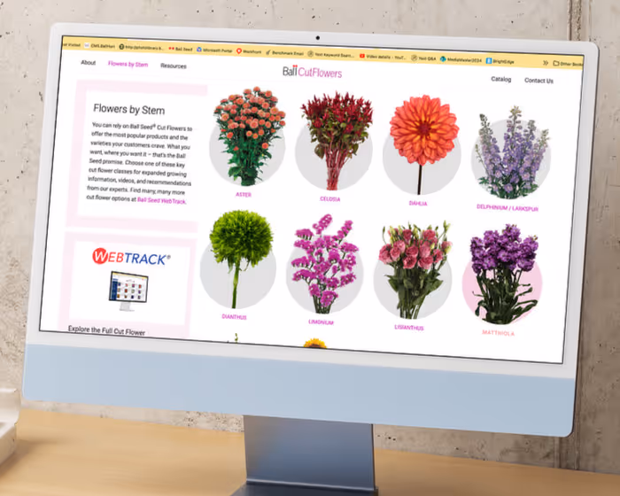 Cut Flowers website on screen