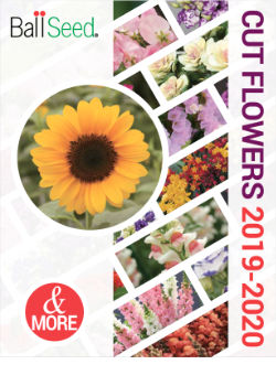 2019-2020 Cut Flower Seed Catalog