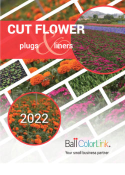2022 Cut Flowers Plug & Liner Catalog