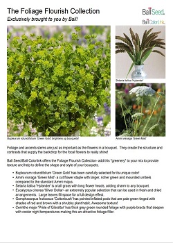 Foliage Flourish Collection Information Guide