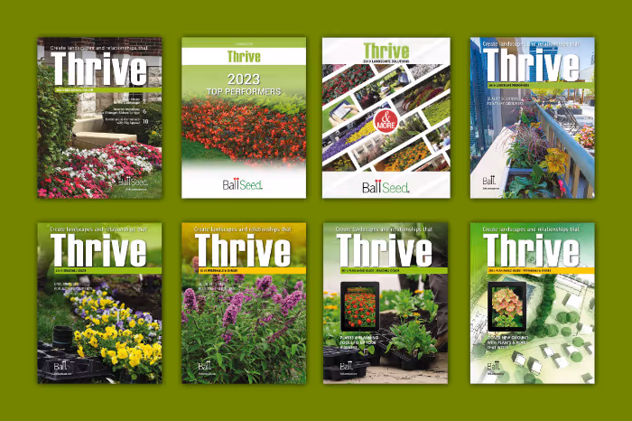 Thrive Covers