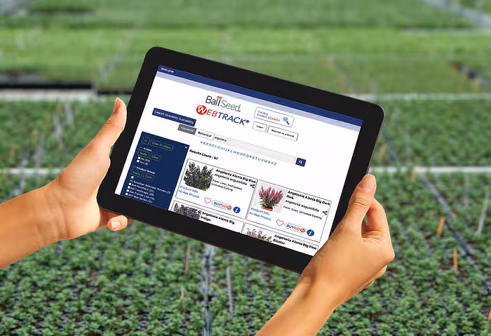 Ball Liners and WebTrack