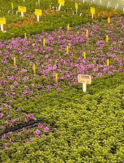 Tech Doc Library image