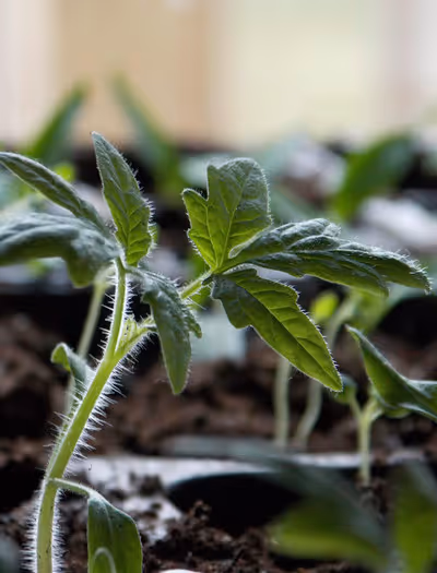 Product Guides image