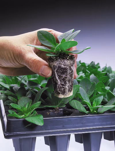 Tech Doc Library image