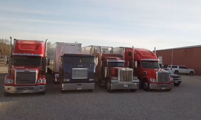 Plugs in a greehouse