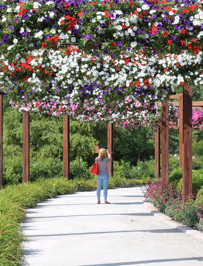 The Gardens at Ball image