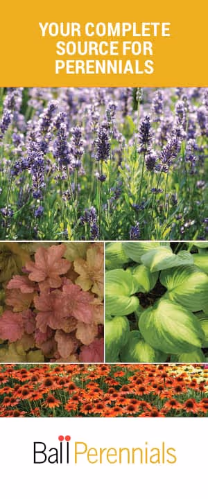 Ball Perennials brochure cover