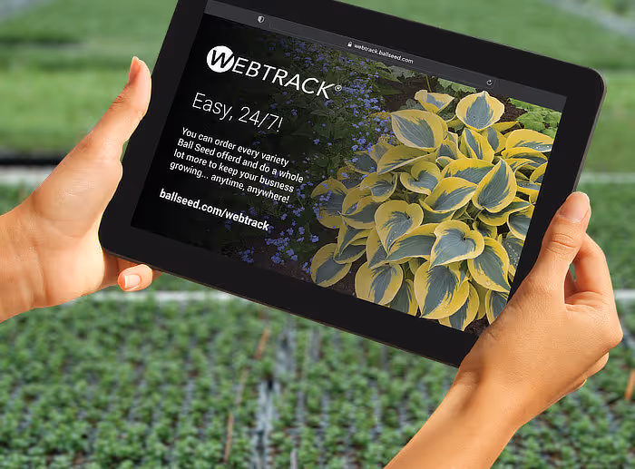 Order online 24/7 with WebTrack