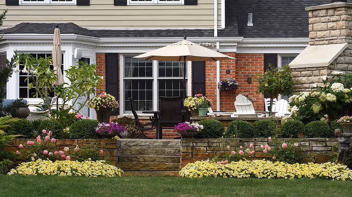 Tissue Culture sterile media