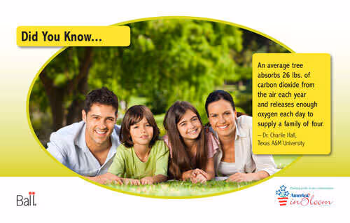 Benchcard Supply Oxygen