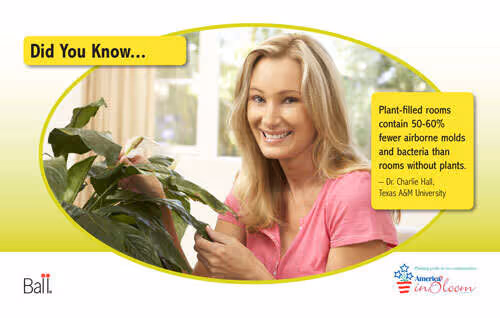 Benchcard Clean the Air