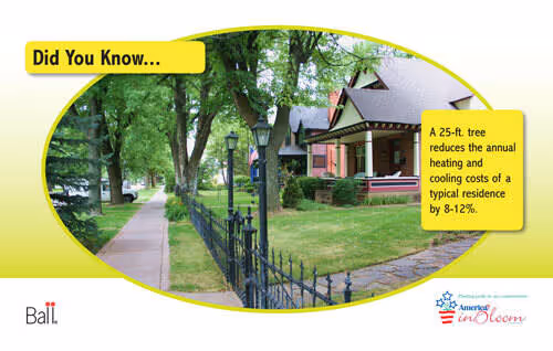 Benchcard Reduce Energy Costs