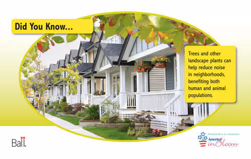 Benchcard Reduce Noise