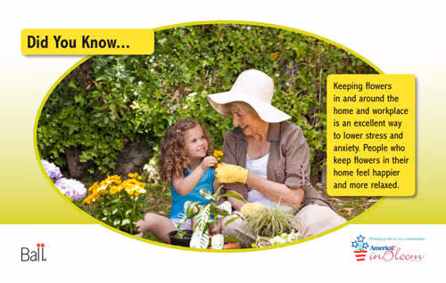 Benchcard Lower Stress