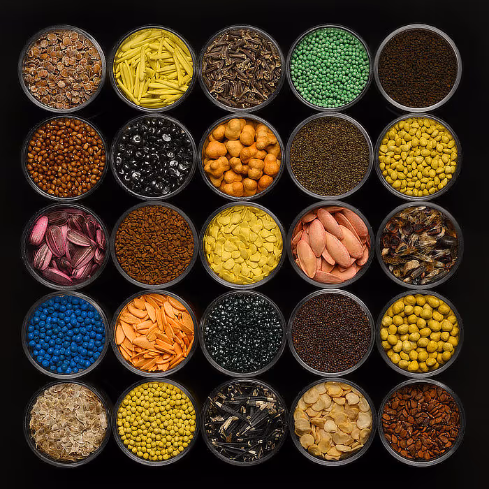 Seed variety photo