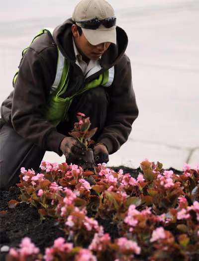 Ball Landscape image