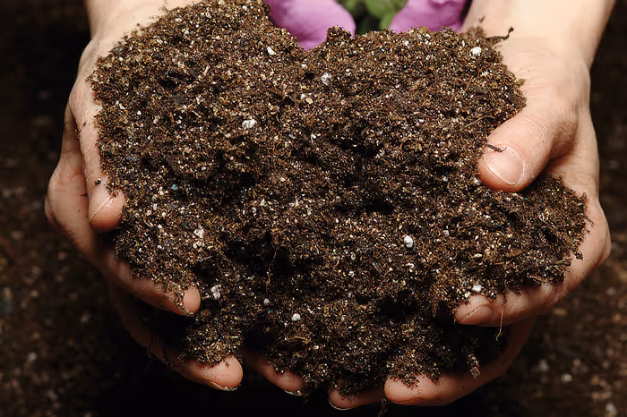 Hands holding soil